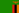 Zambie (F)